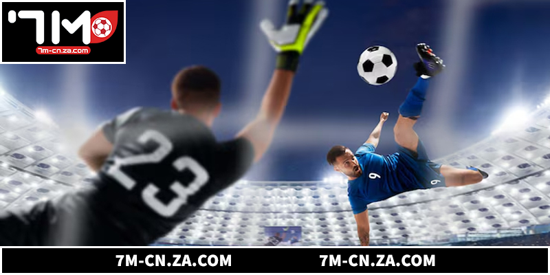 Review trải nghiệm người dùng tại 7M